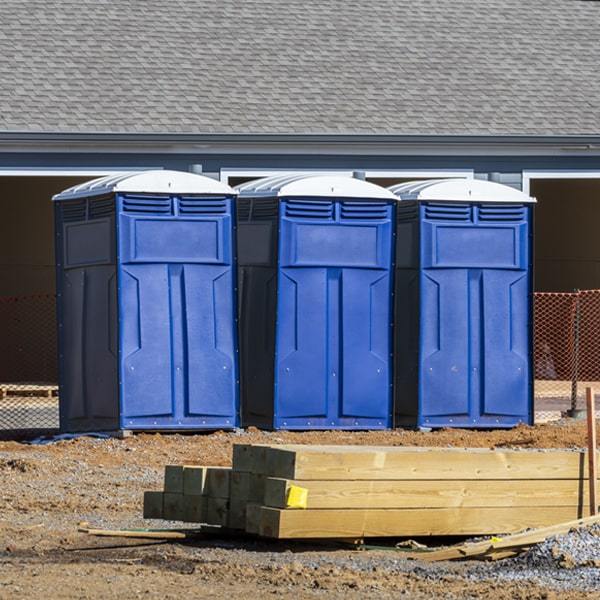 how often are the porta potties cleaned and serviced during a rental period in Lakeview